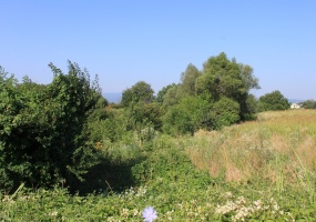 Cuprija, Pomoravlje, Srbija, ,Plac,Na prodaju,1515