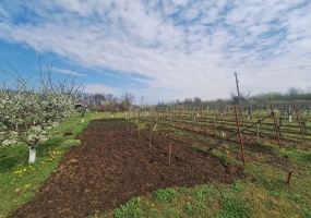 Cuprija, Pomoravlje, Srbija, Spavaće sobe, ,Kuća,Na prodaju,1628