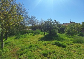 Cuprija, Pomoravlje, Srbija, Spavaće sobe, ,1 KupatiloBathrooms,Kuća,Na prodaju,1632