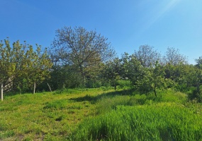 Cuprija, Pomoravlje, Srbija, Spavaće sobe, ,1 KupatiloBathrooms,Kuća,Na prodaju,1632